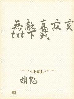 无敌真寂寞小说txt下载