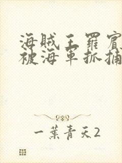 海贼王罗宾娜美被海军抓捕的漫画