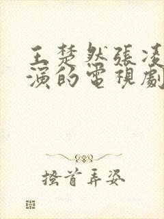 王楚然张凌赫主演的电视剧