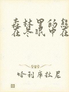 森林里的熊先生在冬眠中在线动漫