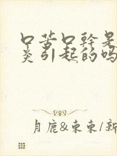 口苦口干是胆囊炎引起的吗