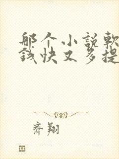 那个小说软件赚钱快又多提现快封面