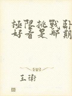 极限挑战卧底最好看是哪期