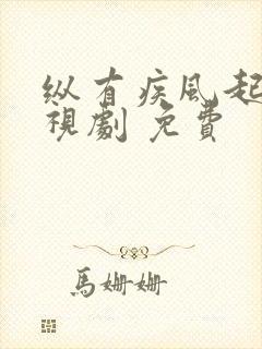 纵有疾风起 电视剧 免费