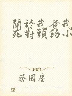 关于我爸我妈是死对头的小说免费阅读