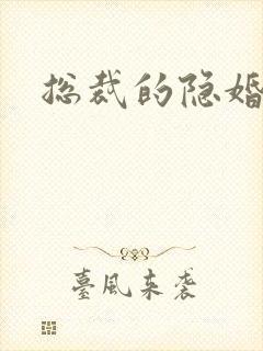 总裁的隐婚新娘封面