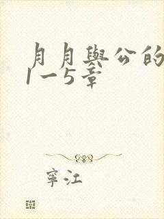月月与公的激情1一5章