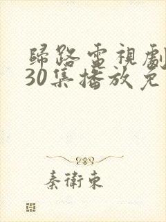 归路电视剧全集30集播放免费观看