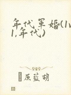 年代军婚(1v1,年代)