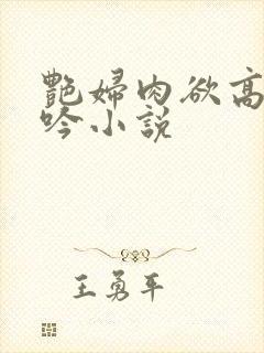 艳妇肉欲高潮呻吟小说封面