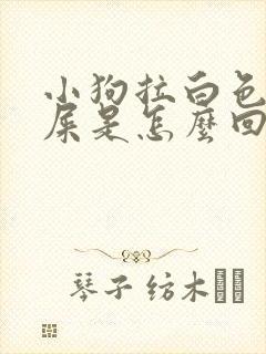 小狗拉白色的稀屎是怎么回事