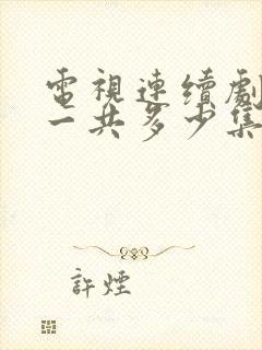 电视连续剧娘道一共多少集封面