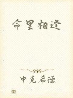 命里相逢