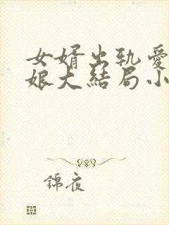 女婿出轨爱上母娘大结局小说封面