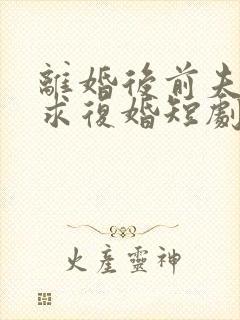 离婚后前夫哭着求复婚短剧