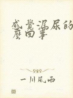 感觉漏尿的是怎么回事