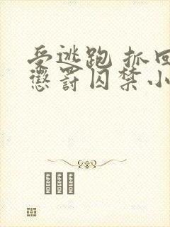 受逃跑 抓回 惩罚囚禁小说