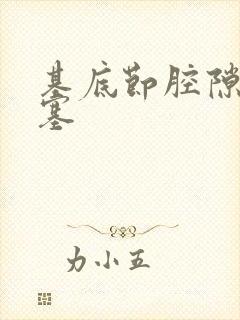 基底节腔隙性梗塞封面