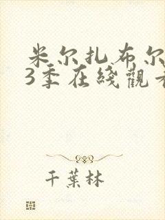 米尔扎布尔 第3季在线观看全集免费播放