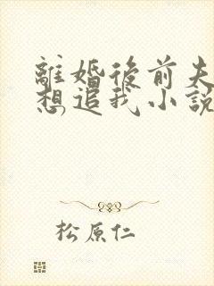 离婚后前夫总是想追我小说免费阅读