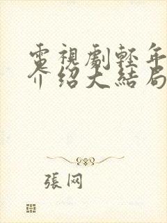 电视剧轻年剧情介绍大结局封面