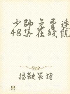 少帅免费连续剧48集在线观看高清版