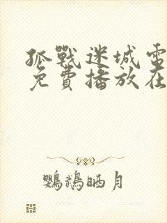 孤战迷城电视剧免费播放在线观看封面