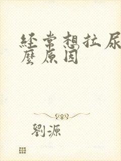 经常想拉尿是什么原因