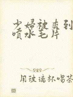 少妇被爽到高潮喷水毛片