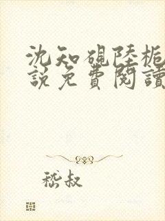 沈知砚陆栀夏小说免费阅读最新章节封面