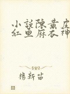 小说陈黄皮,叶红鱼麻衣神婿