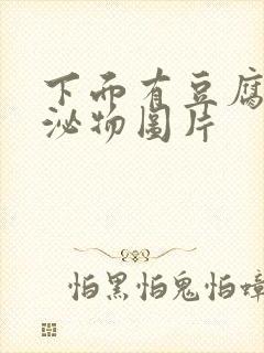 下面有豆腐渣分泌物图片