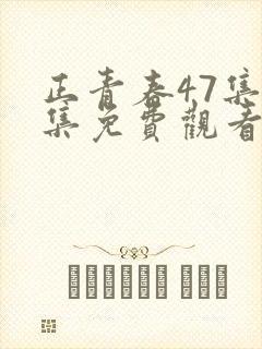 正青春47集全集免费观看
