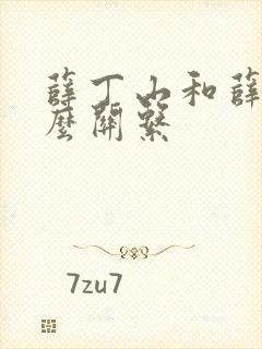 薛丁山和薛刚什么关系