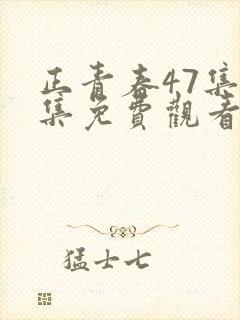 正青春47集全集免费观看