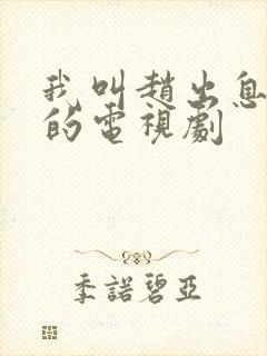 我叫赵出息类似的电视剧