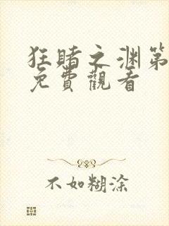 狂赌之渊第二季免费观看