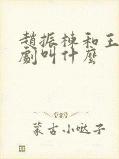 赵振栋和王轩短剧叫什么