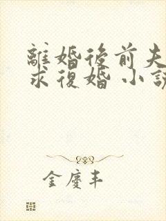 离婚后前夫哭着求复婚 小说阅读