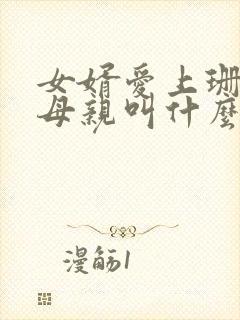 女婿爱上珊珊的母亲叫什么电视剧