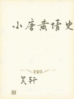 小唐黄倩史