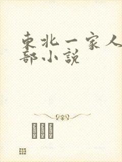 东北一家人第一部小说封面