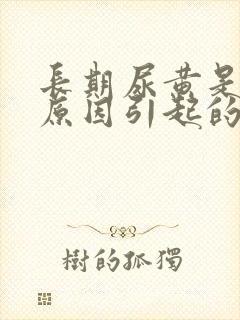 长期尿黄是什么原因引起的