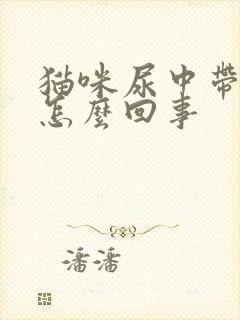 猫咪尿中带血是怎么回事