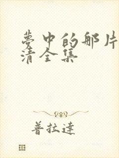 梦中的那片海高清全集