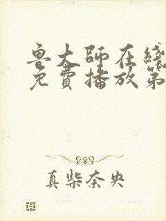 鲁大师在线观看免费播放第6集封面