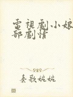 电视剧小娘惹全部剧情封面