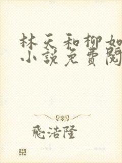 林天和柳如烟的小说免费阅读