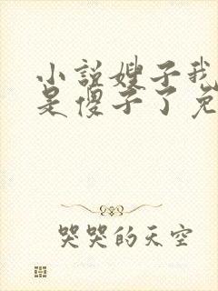 小说嫂子我真不是傻子了免费阅读txt下载封面