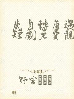 岁月转角遇到爱短剧免费观看封面